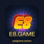 E8 Game