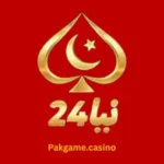 Naya 24 Game