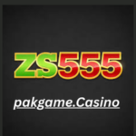 ZS555 Game APK